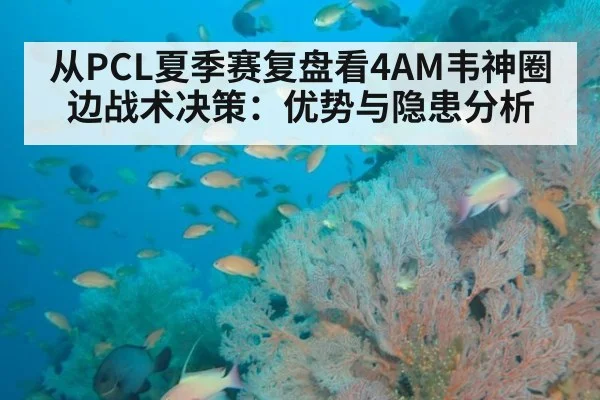 从PCL夏季赛复盘看4AM韦神圈边战术决策：优势与隐患分析